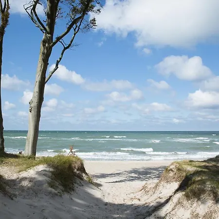 Prázdninový dům Haubenlerche 20 Fuhlendorf (Mecklenburg-Vorpommern)