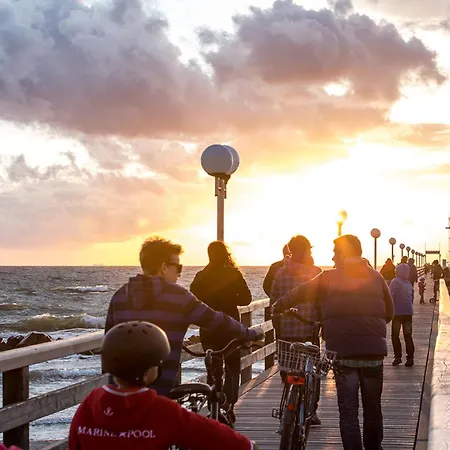 Haubenlerche 20 Fuhlendorf (Mecklenburg-Vorpommern)