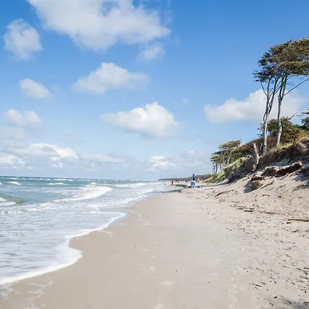 Haubenlerche 20 Ferienhaus *